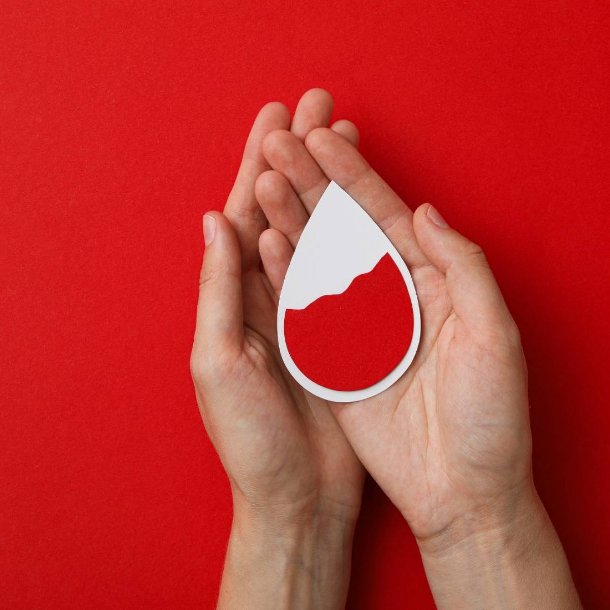 Don du sang 14 juin 2025